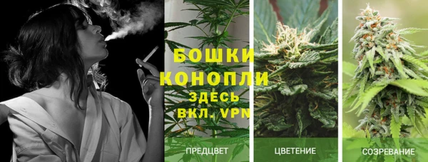 каннабис Алексеевка